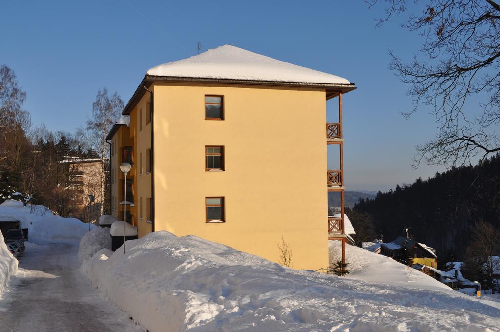 Kamila Apartment *